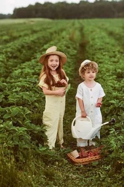 Dva Roztomilé Kavkazské Děti Chlapec Dívka Oblečené Bílém Plátně Sklizeň — Stock fotografie