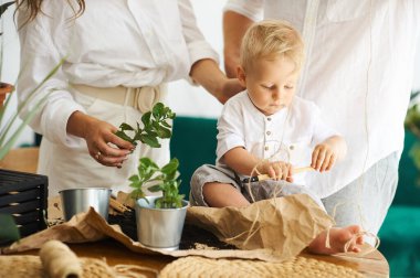 Evde çalışan mutlu bir aile. Çocuklarıyla birlikte bitkileri naklediyorlar.
