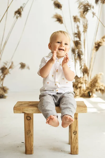 Porträt Eines Kleinen Fröhlichen Jungen Auf Weißem Grund Mit Schilf — Stockfoto