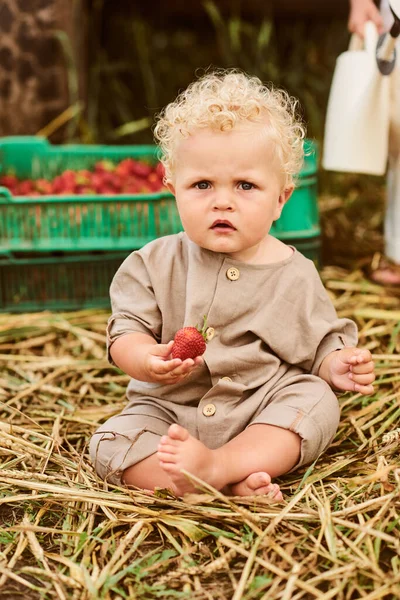 Lindo Hermoso Niño Rizado Caucásico Con Una Cesta Fresas Reúne —  Fotos de Stock