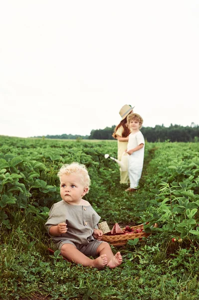 Beyaz Çocuk Tarlada Keten Hasat Çileği Giyip Eğleniyorlar — Stok fotoğraf