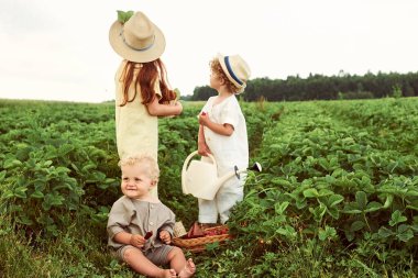 Üç beyaz çocuk tarlada keten hasat çileği giyip eğleniyorlar.