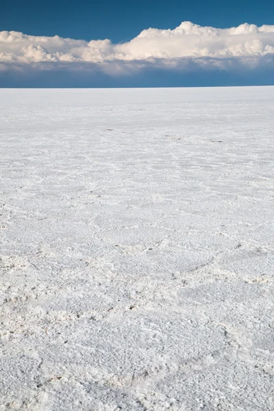 Salar de Uyuni tuz çölü