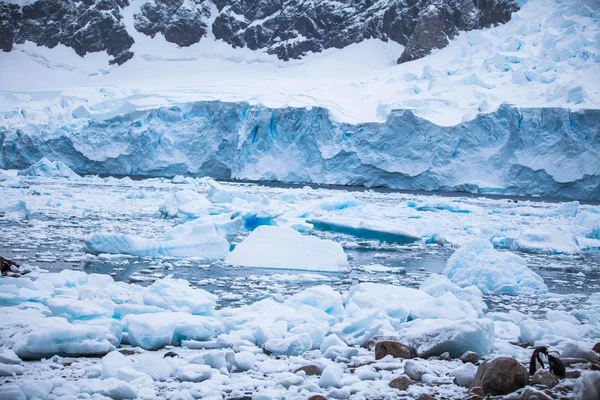 Côte Antarctique avec des glaces et des icebergs de formes, de couleurs inhabituelles — Photo