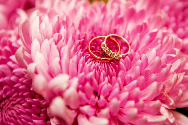 Schöne glänzende Eheringe mit Diamanten auf den rosa Blüten. — Stockfoto