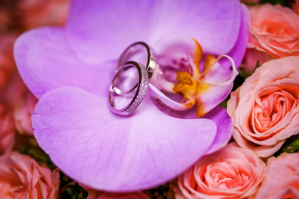 Schöne Trauringe mit Diamanten auf der lila Orchidee. — Stockfoto