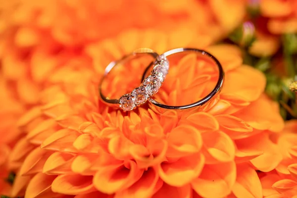 Schöne goldene Eheringe mit Diamanten auf den orangefarbenen Blüten — Stockfoto