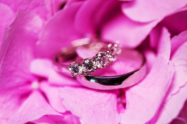 Goldene Eheringe mit Diamanten auf der zartrosa Blume — Stockfoto