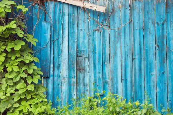 Staré malované dřevěné stěny - textura nebo pozadí — Stock fotografie