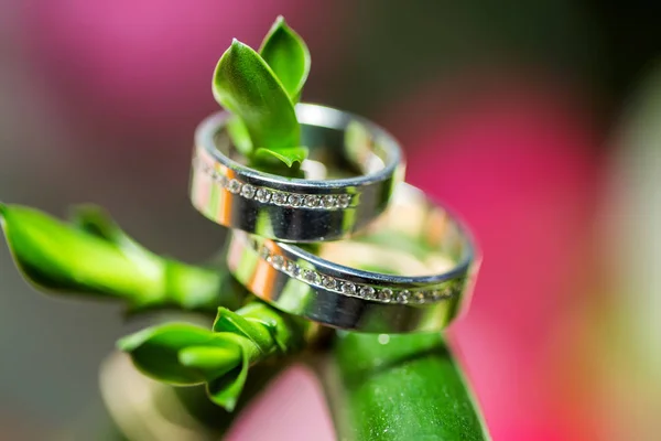 Verlobungsringe aus Weißgold mit Diamanten vor Naturhintergrund — Stockfoto