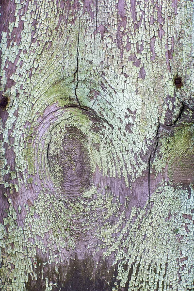 Vieux fond de texture de bois peint — Photo