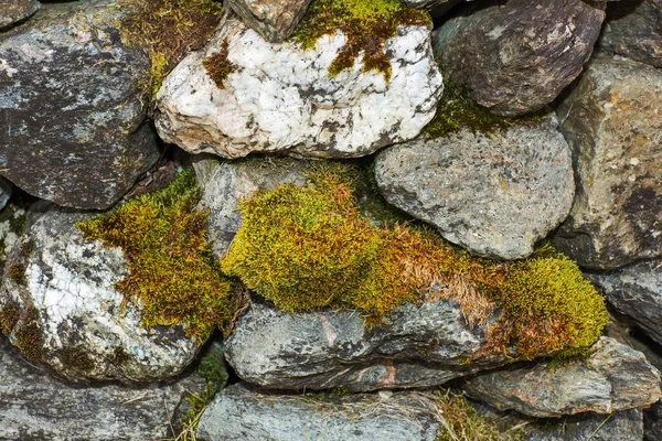 Moss on stone wall in autumn — Stock Photo, Image