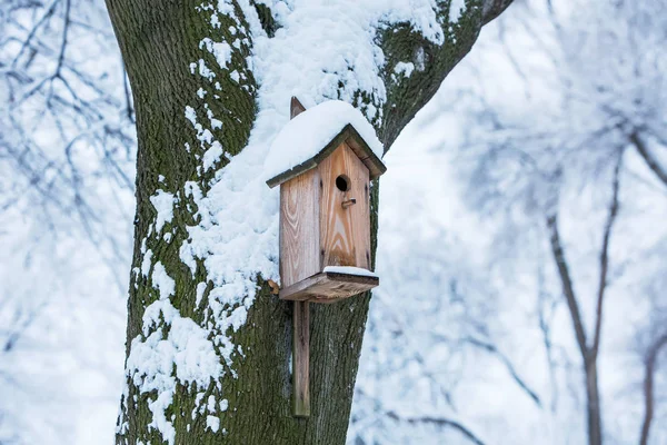 Casa degli uccelli appesa ad un albero in inverno con neve — Foto Stock