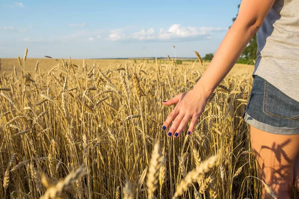 Mädchen berühren Weizen in einem Feld — Stockfoto