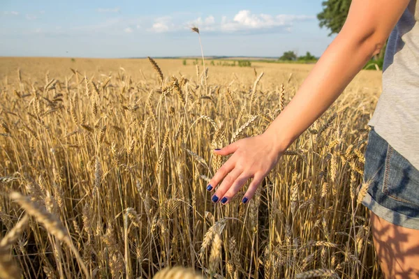 Mädchen berühren Weizen in einem Feld — Stockfoto