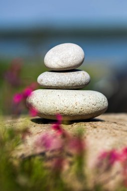 Spa taş Bahçe zemin üzerine