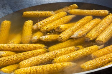 kaynar suda taze Mısır