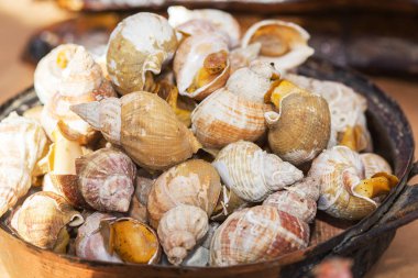 pişmiş salyangoz incelik.