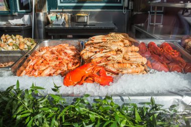 Satılık Market buzda taze ıstakoz.