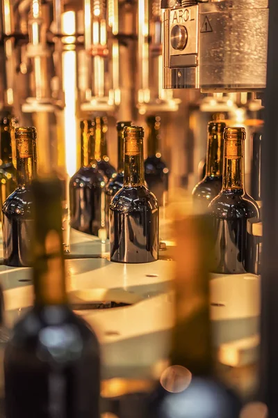 Címke nélküli üveg palackok, palackozó gép modern Pincészet — Stock Fotó