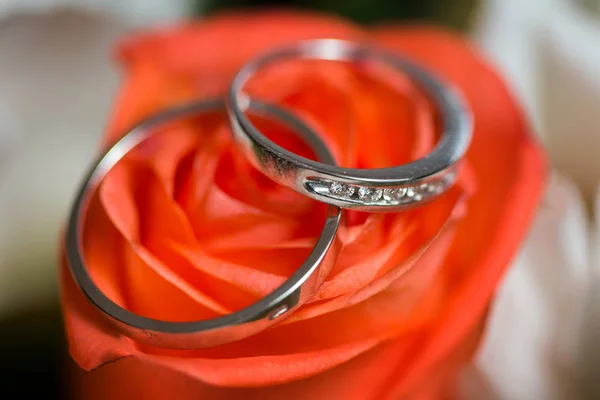 Schöne glänzende Eheringe mit Diamanten auf der rosa Rose — Stockfoto