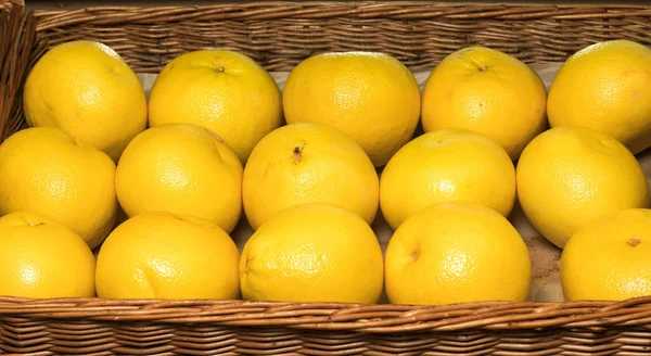 Colheita de toranja. Muitas toranjas. toranjas do campo para têxteis alimentares . — Fotografia de Stock