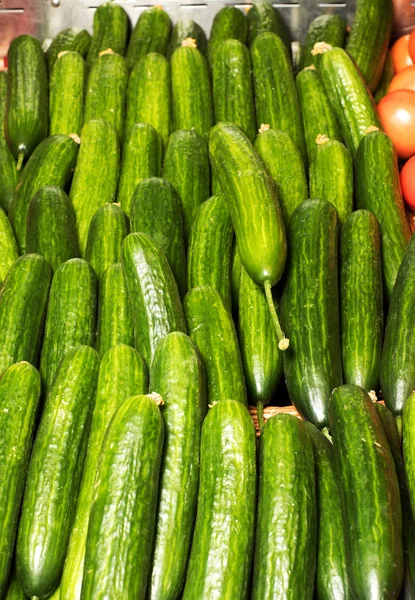 Groene komkommers op plank in supermarkt. Biologisch eten. Handelaar in landbouwproducten. Voedsel voor landbouwers — Stockfoto