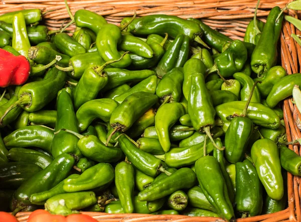 Green pepper or chili from the farm