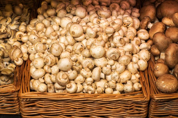 蘑菇 champignons 在箱子在市场上 — 图库照片