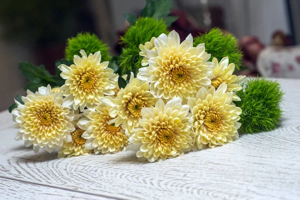 Crisantemo giallo-bianco su fondo di legno — Foto Stock