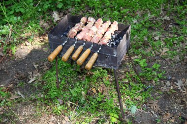 Ateş üzerinde pişirme et. Şiş kebap ızgara