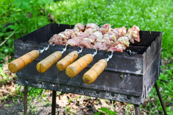 Cozinhar carne no fogo. Shish kebab na grelha — Fotografia de Stock