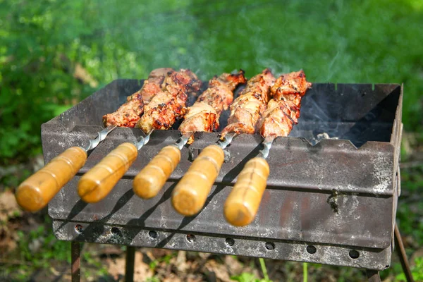 Cozinhar carne no fogo. Shish kebab na grelha — Fotografia de Stock