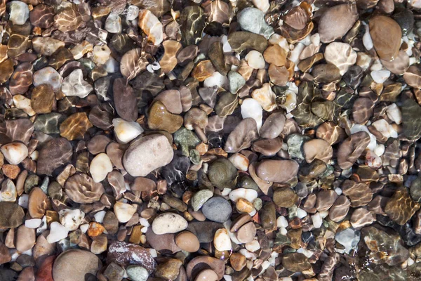 Pedra do mar pedras fundo praia rochas — Fotografia de Stock