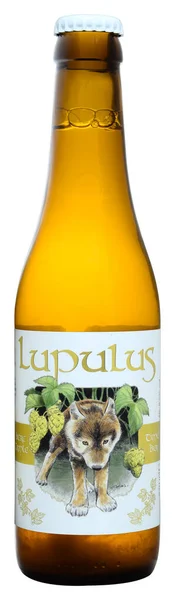 Venice Italy March 2020 Пляшка Бельгійського Пива Lupulus Triple 33Cl — стокове фото