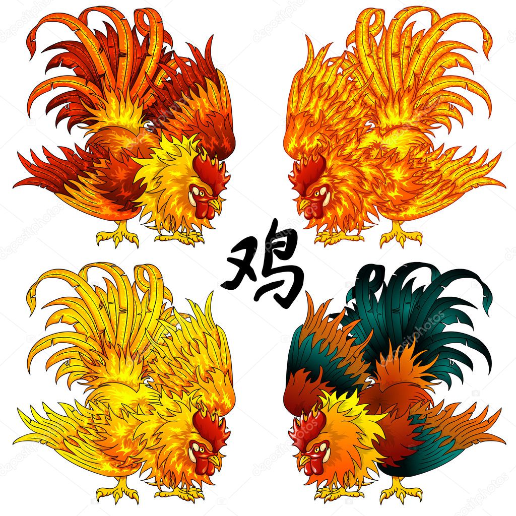 Set a fighting rooster a symbol of 2017 according to the Chinese calendar in four options of color. Red, orange, fiery, yellow, gold and black birds. And hieroglyph cock. A vector illustration