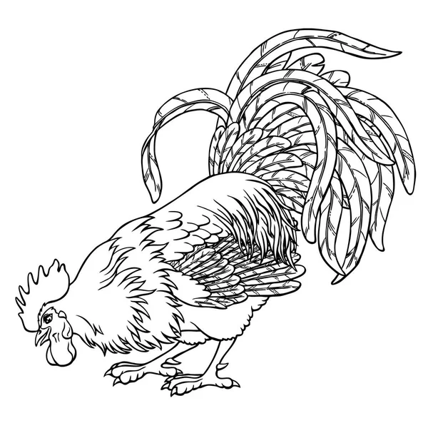 Arama horoz siyah kontur beyaz