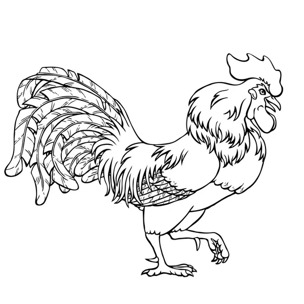 Gidiş horoz siyah kontur beyaz