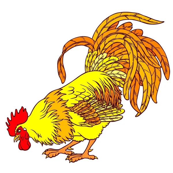 Appeler le coq jaune orange sur blanc — Image vectorielle