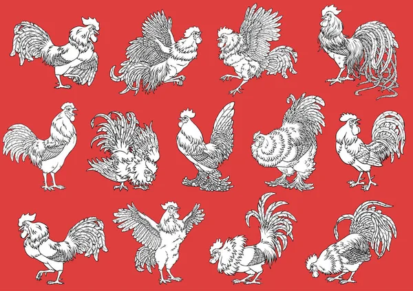 Set roosters coloring on orange-red — Stock Vector