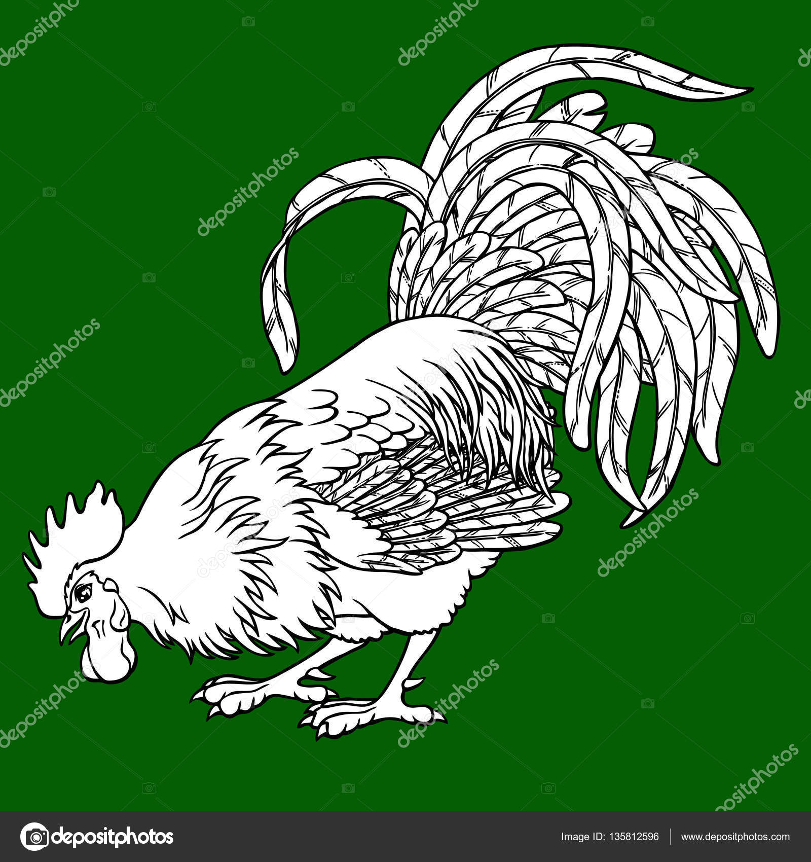 calling rooster coloring on green background decorative chicken monochrome coloring page book a symbol of the chinese new year 2017 according to east - Rooster Coloring Page calling rooster coloring on green background decorative chicken monochrome coloring page book a symbol of the chinese new year 2017 according to east - Rooster Coloring Page
