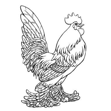 Gurur horoz siyah kontur beyaz