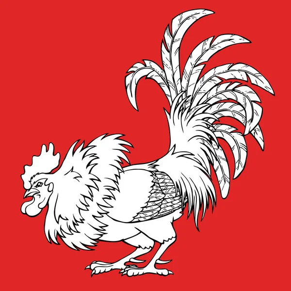 Cocky rooster coloring on red — Stock Vector