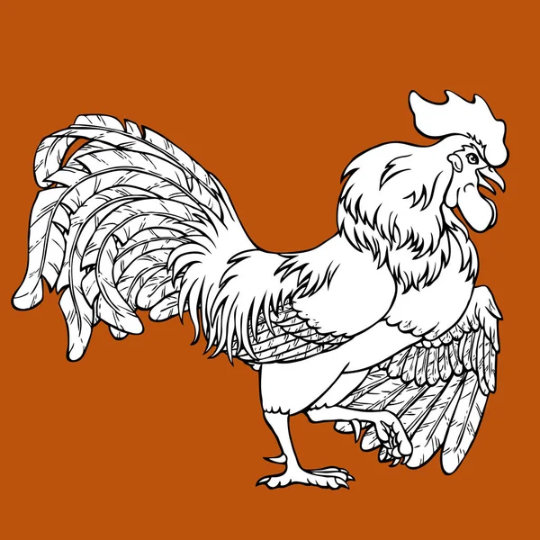 Coloration de coq courtisant sur brun — Image vectorielle