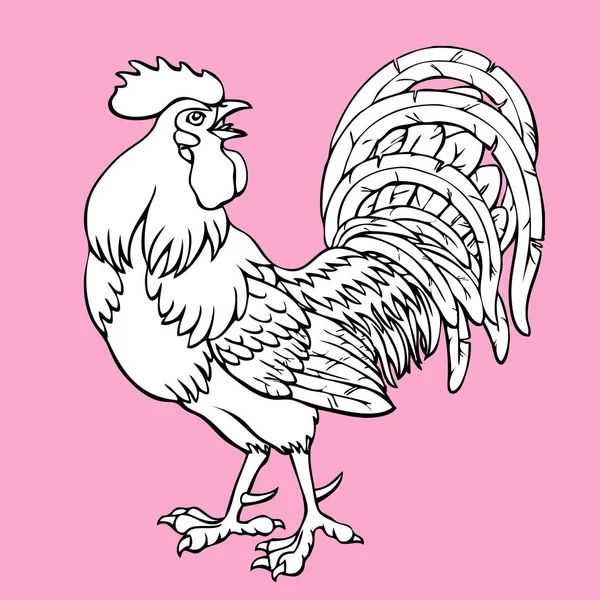 Ateşli horoz pembe üzerinde boyama