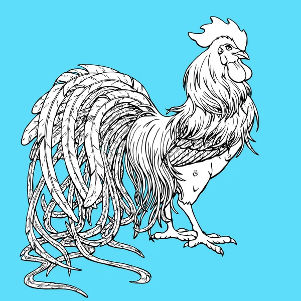 ハンサムなオンドリの青色に着色 — ストックベクタ
