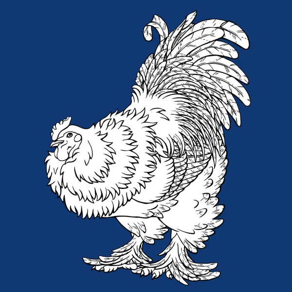 Reliable rooster coloring on blue — Stock Vector