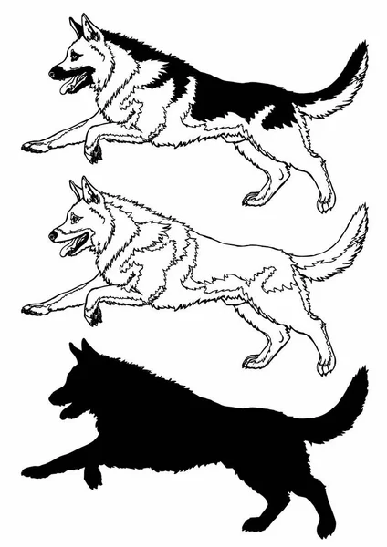 白の輪郭線を走っている犬 — ストックベクタ