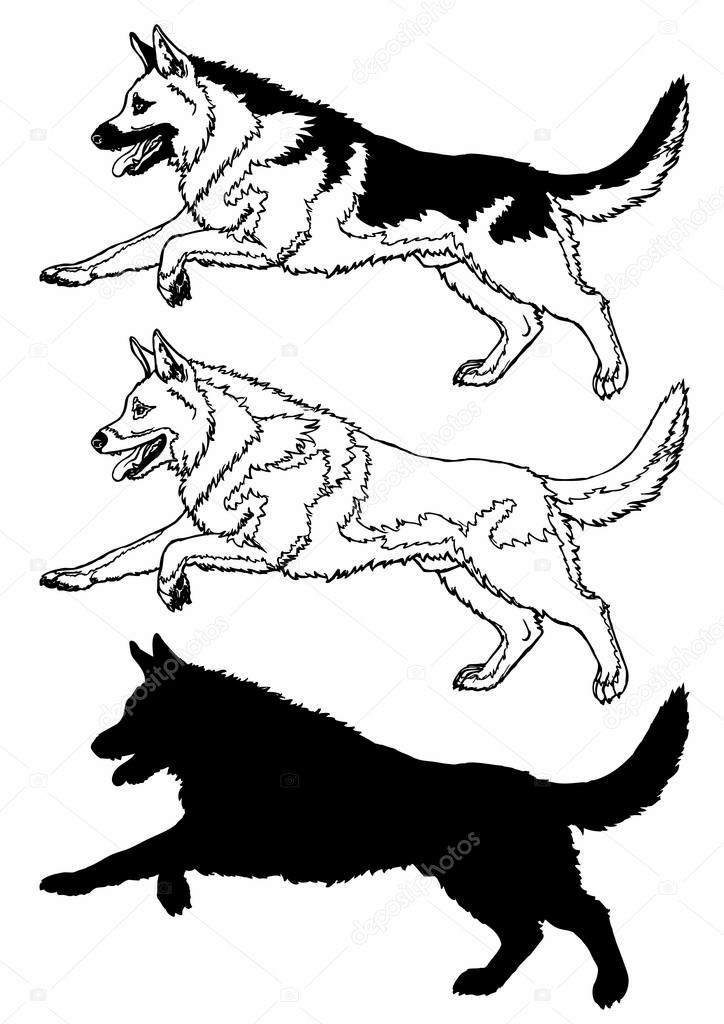 The running cheerful dog a male of breed a German shepherd. Set, manual contour line, the black-and-white drawing and a black silhouette on a white. Vector illustration. Symbol 2018 chinese new year.