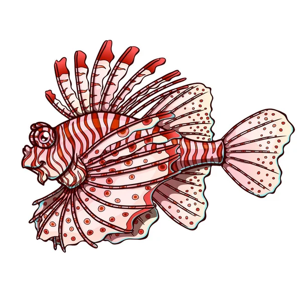 Loinfish penuh warna pada latar belakang putih - Stok Vektor